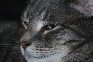 298109_10150325353818946_423222035_n