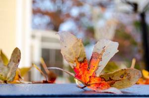 10624809_10152523293373946_4261016847193667901_n