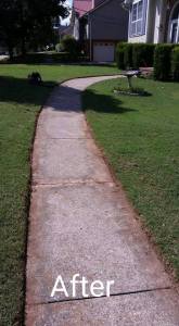 12004907_10153161173548946_990590239291087196_n