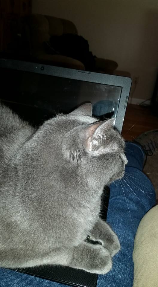 13932875_10153851457488946_4828484199306905584_n