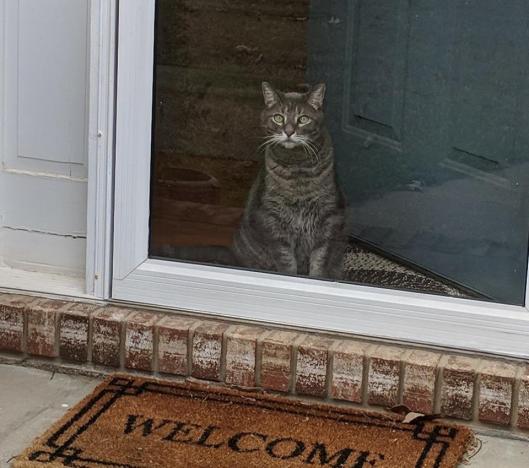 29512593_10155450054568946_5319812446825885767_n